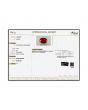 Burmese Ruby (Heated) Cts 3.42 