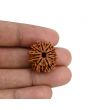 10 Mukhi Rudraksha (Nepal) 22.68 MM