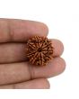 10 Mukhi Rudraksha (Nepal) 21.99 MM