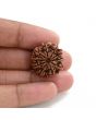 10 Mukhi Rudraksha (Nepal) 23.44 M.M.