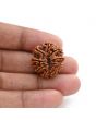 10 Mukhi Rudraksha (Nepal) 24.36 M.M.
