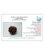 10 Mukhi Rudraksha (Nepal) 28.49 MM