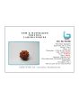 10 Mukhi Rudraksha (Nepal) 17.49 MM