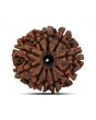 10 Mukhi Rudraksha (Nepal) 22.03 MM