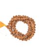 10 Mukhi Rudraksha Mala (Indonesia)   