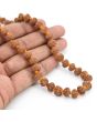 10 Mukhi Rudraksha Mala (Indonesia)   