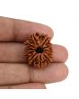 11 Mukhi Rudraksha (Nepal) 25.28 MM