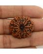 11 Mukhi Rudraksha (Nepal) 26 MM