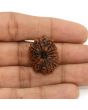 11 Mukhi Rudraksha (Nepal) 25.14 MM