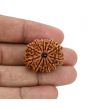 12 Mukhi Rudraksha (Nepal) 27.54 MM