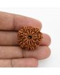 12 Mukhi Rudraksha (Nepal) 25.1 MM