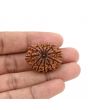 12 Mukhi Rudraksha (Nepal) 29.88 MM