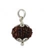 12 Mukhi Rudraksha Silver Pendant (Nepal) 21.2 MM