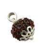 12 Mukhi Rudraksha Silver Pendant (Nepal) 21.2 MM