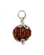 12 Mukhi Rudraksha Silver Pendant (Nepal) 19.7 MM