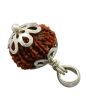 12 Mukhi Rudraksha Silver Pendant (Nepal) 19.7 MM