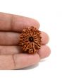 13 Mukhi Rudraksha (Nepal) 27.33 M.M.