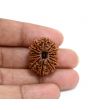 13 Mukhi Rudraksha (Nepal) 25.8 M.M.