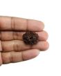13 Mukhi Rudraksha (Nepal) 25.11 MM