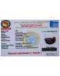 1 Mukhi Rudraksha (Ek Mukhi)