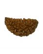 1 Mukhi Rudraksha