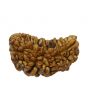 1 Mukhi Rudraksha 28.82 MM