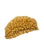 1 Mukhi Rudraksha 26.98 MM