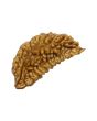 1 Mukhi Rudraksha 29.09 MM