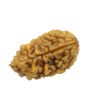 1 Mukhi Rudraksha 24.8 MM