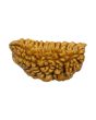 1 Mukhi Rudraksha 27.72 MM