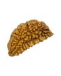 1 Mukhi Rudraksha 27.72 MM