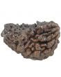 Natural Ek Mukhi Rudraksha With Freebie Five Mukhi Rudraksha Mala