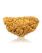 1 Mukhi Rudraksha 34.03 MM
