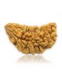 1 Mukhi Rudraksha 30.77 MM