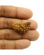 1 Mukhi Rudraksha 30.4 MM
