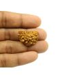1 Mukhi Rudraksha 26.73 MM