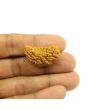 1 Mukhi Rudraksha 31 MM