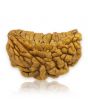 1 Mukhi Rudraksha 26.91 MM