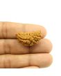 1 Mukhi Rudraksha 29.12 MM