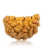 1 Mukhi Rudraksha 25.11 MM