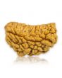1 Mukhi Rudraksha 28.18 MM