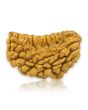 1 Mukhi Rudraksha 28.18 MM