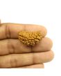 1 Mukhi Rudraksha 28.18 MM