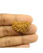 1 Mukhi Rudraksha 28.18 MM