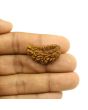 1 Mukhi Rudraksha 29.31 MM