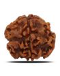 1 Mukhi Rudraksha (Nepal) 18.32 MM