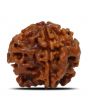 1 Mukhi Rudraksha (Nepal) 19.71 MM