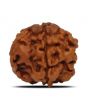 1 Mukhi Rudraksha (Nepal) 17.83 MM