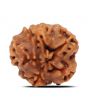 1 Mukhi Rudraksha (Nepal) 18.8 MM