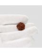 1 Mukhi Rudraksha (Nepal) 17.58 MM